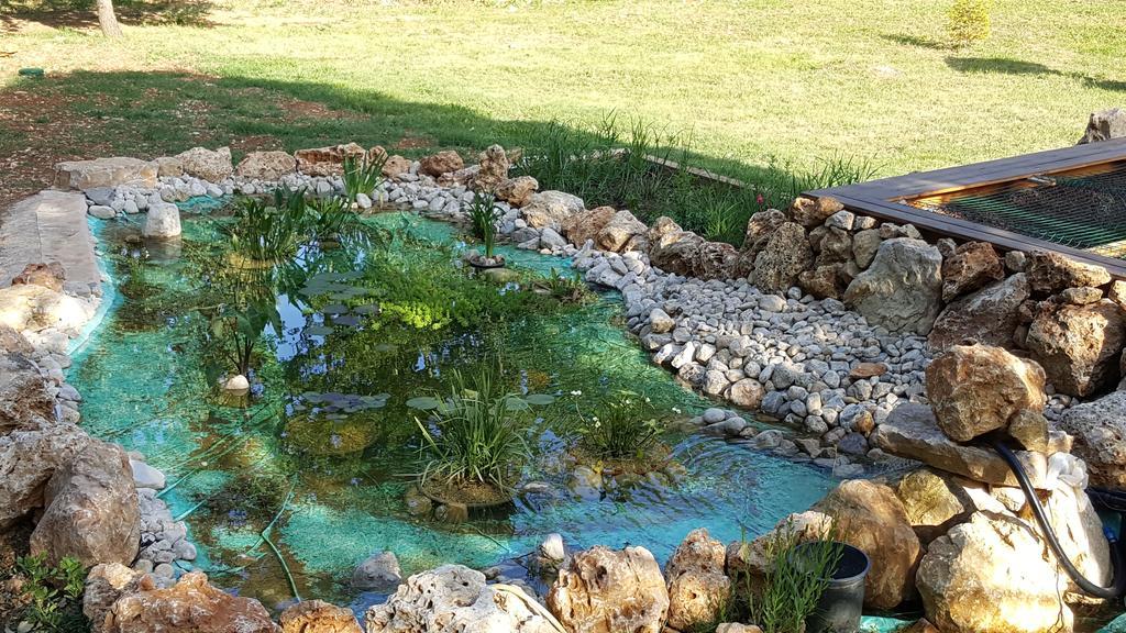 Villa Eden Vert فايانس المظهر الخارجي الصورة